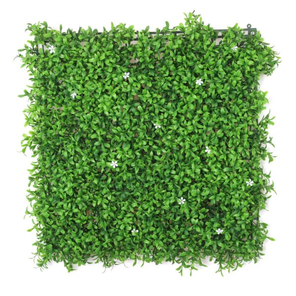 Insta Hedge White Flower Shrub