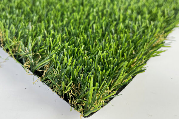 20mm Fairway Fern